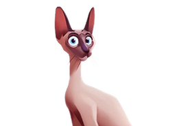 Winota